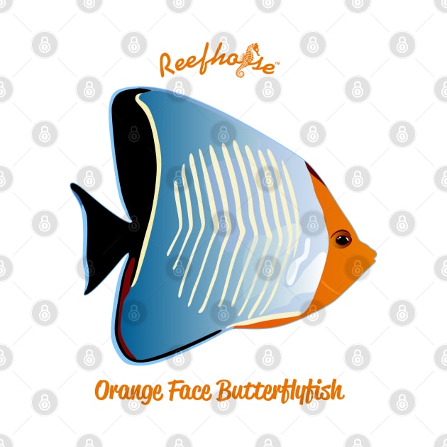 Orange Face Butterflyfish by Reefhorse