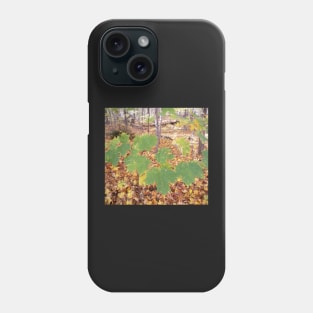 Autumn leaf Phone Case