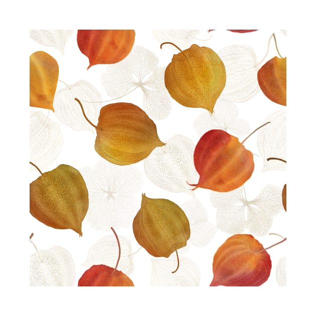 Physalis red, orange flowers watercolor print. Cape gooseberry buds' structure. Golden berry, Chinese lantern composition by likapix