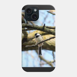 Curious Black-capped Chickadee Perched On a Tree Branch Phone Case