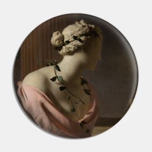 Trompe l'Oeil with a Bust of Venus by Caesar van Everdingen Pin