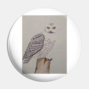 Snowy Owl on Post Pin