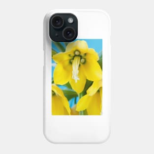 Fritillaria imperialis  &#39;Maxima Lutea&#39;  AGM  Crown imperial Phone Case