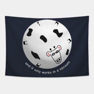 Spherical Cow in a Vacuum Tapestry