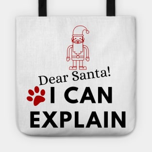 Dear Santa I can Explain Tote