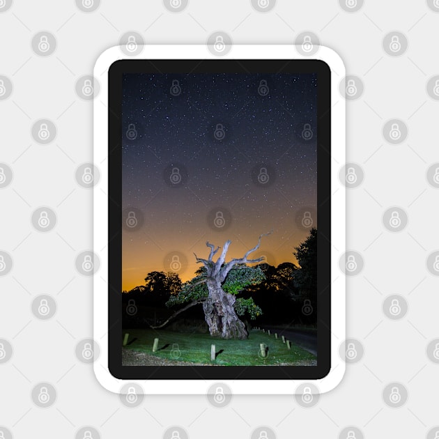 The 800 year old Laund Oak Tree and the night sky IMG-5844 RB Magnet by Spookydaz