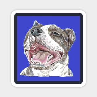 June, the rescue dog. Magnet