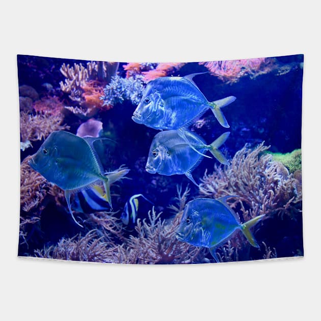 Glass fish underwater world / Swiss Artwork Photography Tapestry by RaphaelWolf