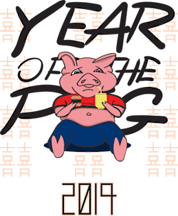 8ts Year of the PiG Magnet