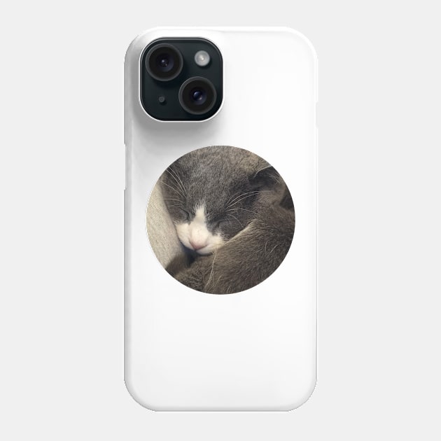 Sleeping Cat / Pictures of My Life Phone Case by nathalieaynie