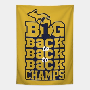 Big Ten champs Tapestry