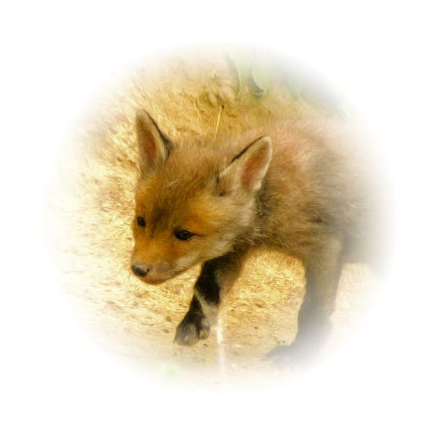 Red fox cub by Guardi