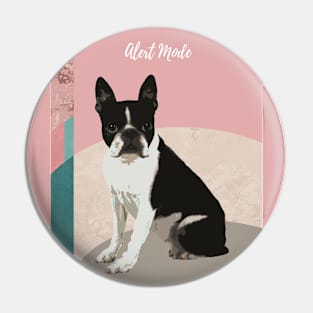 Alert Boston Terrier. Pin