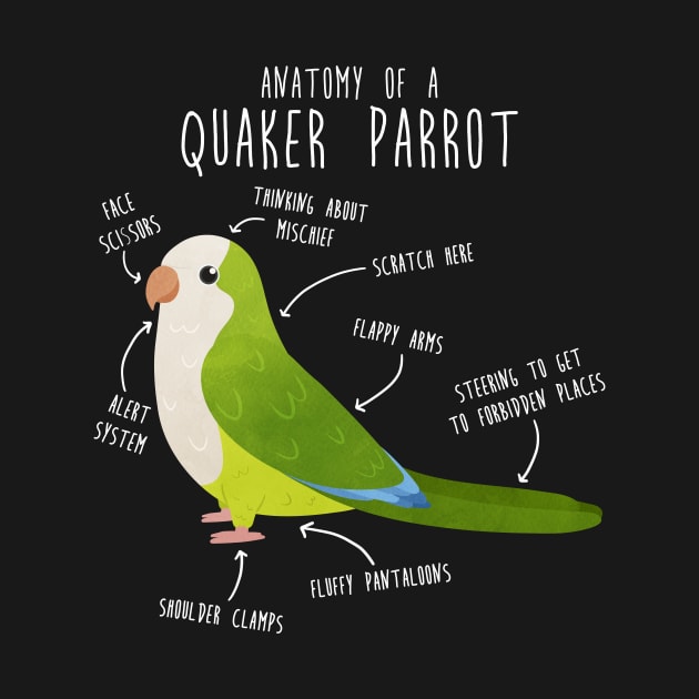 Green Quaker Anatomy by Psitta