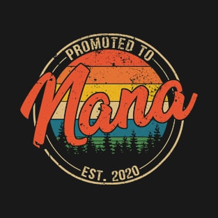 Promoted to Nana Est 2020 Mothers Day Gift T-Shirt