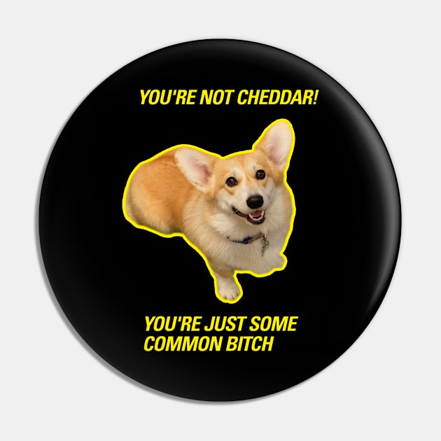 Cheddar  |  Brooklyn 99 Pin by cats_foods_tvshows