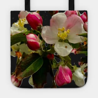 Crabapple blossoms Tote