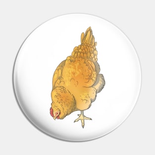 Pecking Buff Orpington Chicken Pin