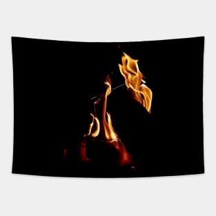 Fire poetry (pareidolia) Tapestry