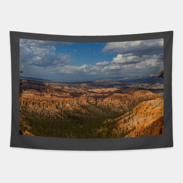 Bryce Canyon View 6 Tapestry by Rob Johnson Photography