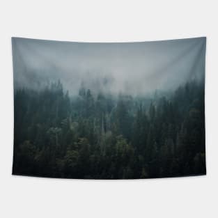 Misty fir forest Tapestry