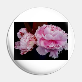 Pink Peonies Pin