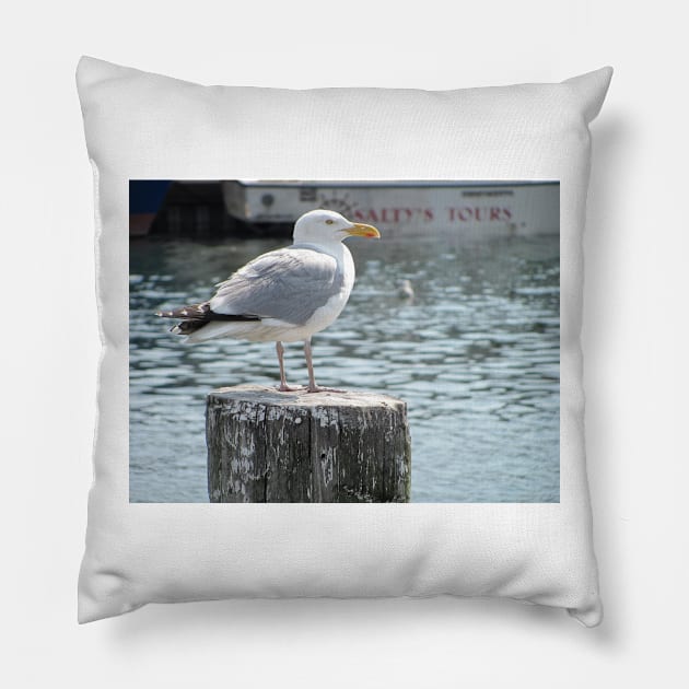 Gull King Pillow by KensLensDesigns