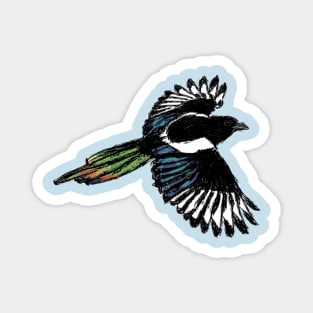 Artwork of an Eurasian Magpie in Flight I Magnet