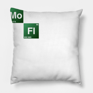 Morally Flexible Pillow