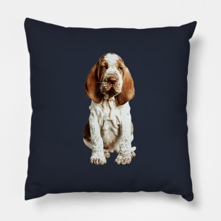 Bracco Italiano puppy dog Pillow