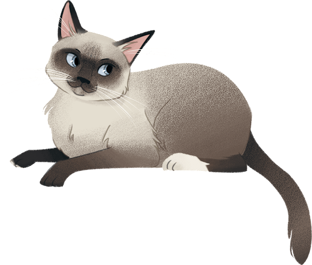 Siamese Cat Kids T-Shirt by PastelShark