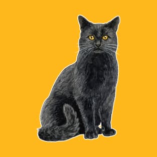 Black cat with golden eyes T-Shirt