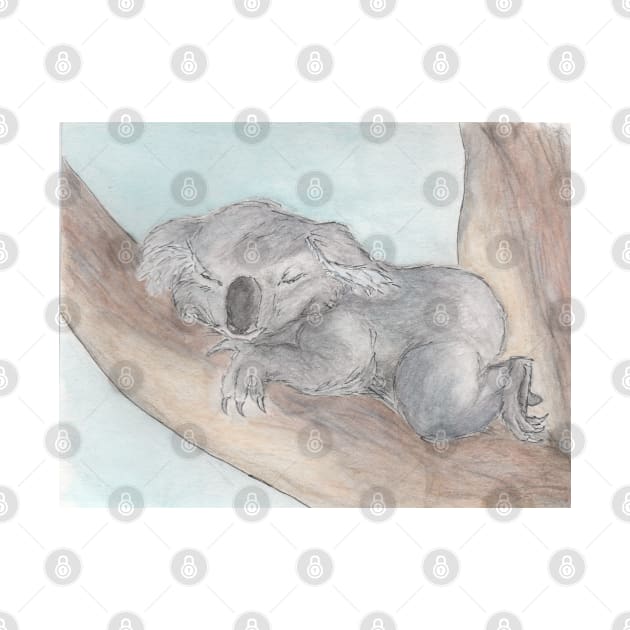 Koala-ty nap by AussieLogic