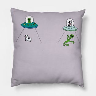 Abduction Pillow