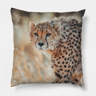 Safari Cheetah Pillow