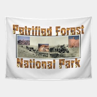 Petrified Forest Tapestry