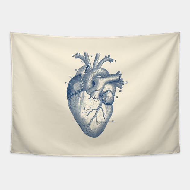 Human Heart Diagram - Vintage Anatomy Tapestry by Vintage Anatomy Prints