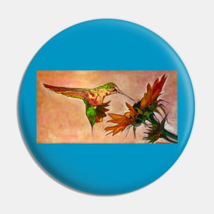 Hummingbird Pin