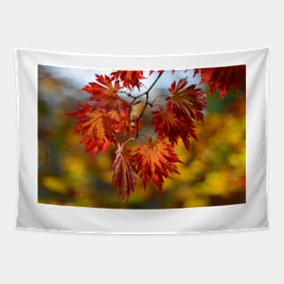 autumn garden Tapestry