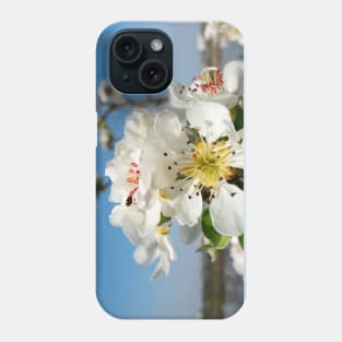 blossoming pear Phone Case