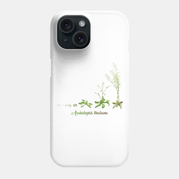 Arabidopsis thaliana development Phone Case by anamarioline