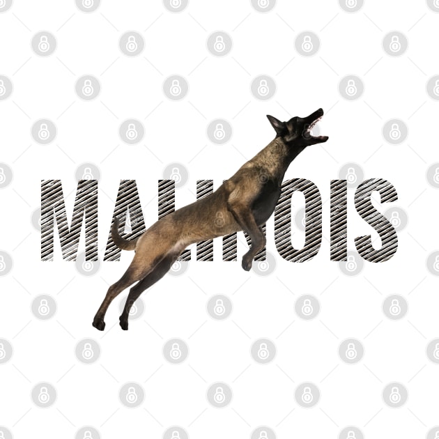 Malinois  - Belgian shepherd - Mechelaar by Nartissima