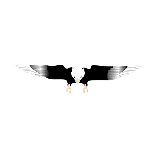 Eagle Design - 10 T-Shirt