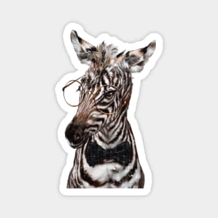 Intelligent Baby Zebra Magnet