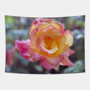 Rose in Spring Rain Tapestry