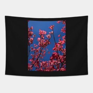 Cherokee Dogwood Tree Tapestry