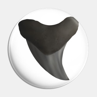 Benedini Shark Tooth Pin