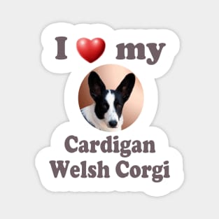 I Love My Cardigan Welsh Corgi Magnet