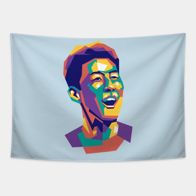 Son Heung-Min Camera Celebration Tapestry by ACH PAINT