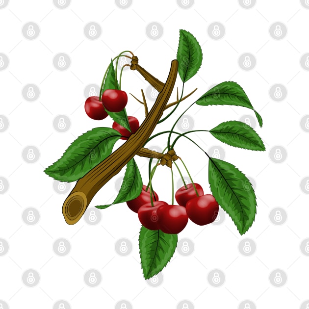 Cherry Branch by Designoholic